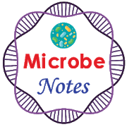 microbe notes